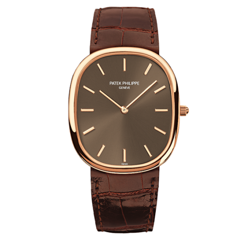 Patek Philippe Golden Ellipse 3738/100R-001 Brown 31.10 mm Automatic