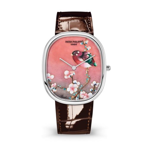 Patek Philippe Golden Ellipse 5738/50G-010 Multi-Color 34.50 mm Automatic