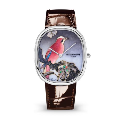 Patek Philippe Golden Ellipse 5738/50G-011 Multi-Color 34.50 mm Automatic