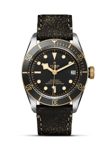 Tudor Black Bay 79733N-0001 Black 41.00 mm Automatic