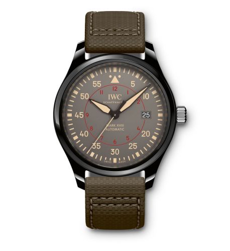 IWC Pilot IW3247-02 Grey 41.00 mm Automatic