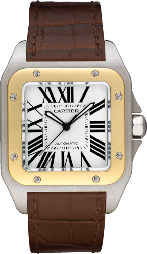 Cartier Santos de Cartier W20072X7 Silver 41.30 mm Automatic