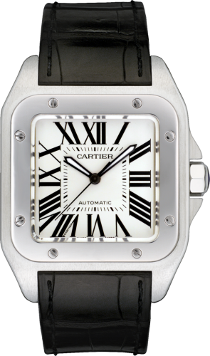 Cartier Santos de Cartier W20073X8 Silver 41.30 mm Automatic